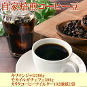 【ふるさと納税】自家焙煎コーヒー豆(キリマンジャロ・モカイルガチェフェ)各300gとカリタ102コーヒーフイルター100枚セット【TM67】 | 和歌山県 印南町 和歌山 返礼品 楽天ふるさと 納税 コーヒー豆 珈琲豆 コーヒー 珈琲 カリタ コーヒーフィルター フィルター