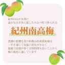 和歌山県印南町の画像3