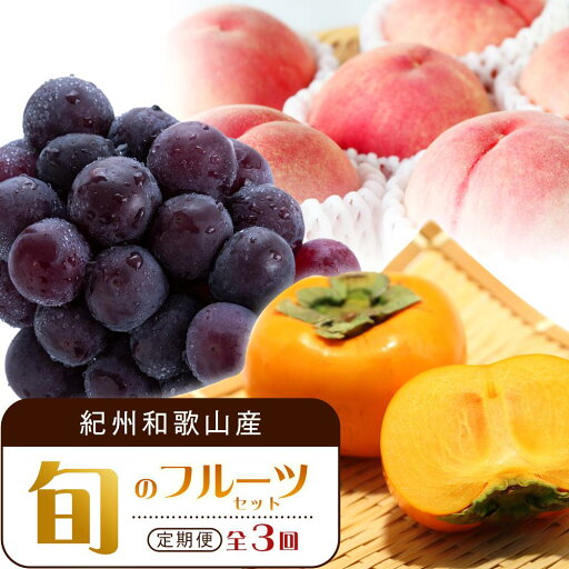 【ふるさと納税】【7・8・10月 全3回】紀州和歌山産旬のフルーツセット(桃・ピオーネ・ひらたねなし柿)定期便 【魚鶴商店】【UT67】 | フルーツ 果物 くだもの 食品 人気 おすすめ 送料無料 【ふるさと納税】【7・8・10月 全3回】紀州和歌山産旬のフルーツセット(桃・ピオーネ・ひらたねなし柿)定期便 【魚鶴商店】【UT67】 | フルーツ 果物 くだもの 食品 人気 おすすめ 送料無料