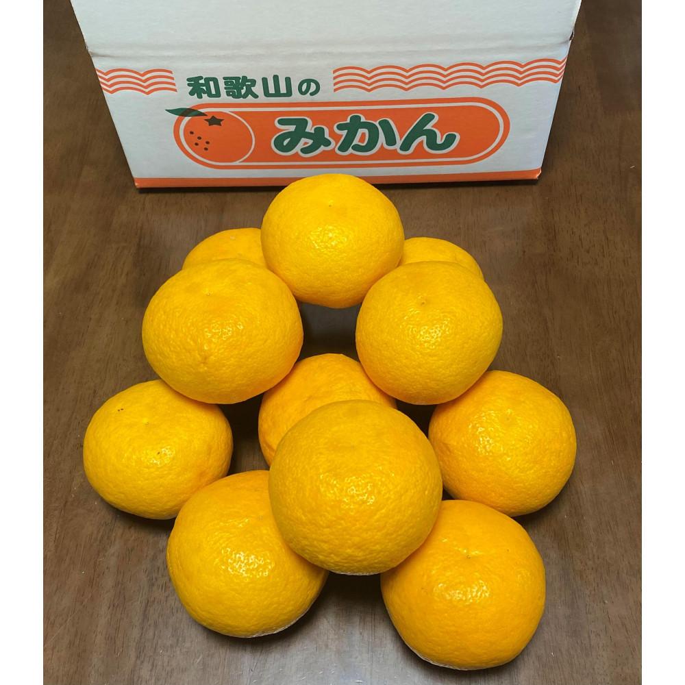 【ふるさと納税】【選べる容量】 地元印南町産 樹熟 甘夏みかん 約4kg(10個前後) or 約7.5kg(20個前後) 大玉L~2Lサイズ | みかん 甘夏 完熟 樹熟 温州みかん 和歌山 印南町 柑橘 果物 フルーツ くだもの ふるさと納税 返礼品