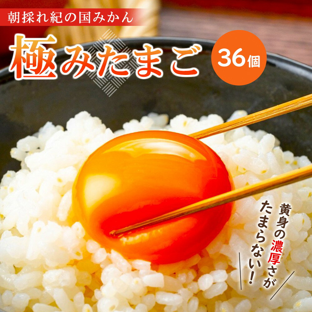 【ふるさと納税】紀の国みかん極みたまご36個 | たまご 玉子 卵焼き 玉子焼き たまご焼き 生卵 鶏卵 たまごかけ 国産 和歌山県産 印南町産 送料無料