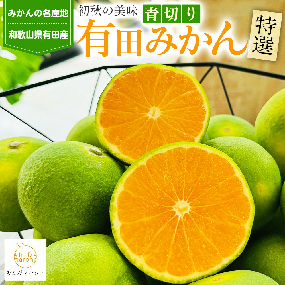 【ふるさと納税】［先行予約］特選 青切り有田みかん 3kg ［2026年9月中旬より発送］［MS21］ | フルーツ 果物 くだもの 食品 人気 おすすめ 送料無料(4)