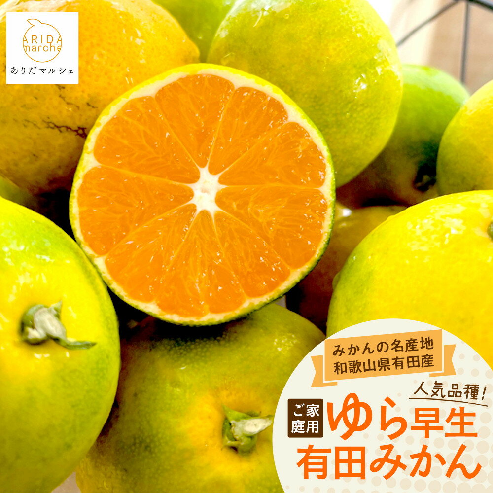 [先行予約]ご家庭用ゆら早生有田みかん約3kg[2025年10月上旬発送][訳あり][MS26] | フルーツ 果物 くだもの 食品 人気 おすすめ 送料無料