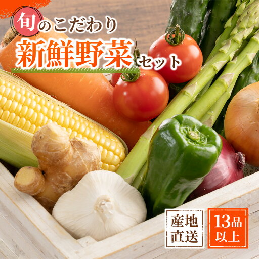 【ふるさと納税】旬の新鮮野菜セット 大満足な13種以上【野菜詰め合わせ】 | 野菜 やさい 食品 人気 おすすめ 送料無料 【ふるさと納税】旬の新鮮野菜セット 大満足な13種以上【野菜詰め合わせ】 | 野菜 やさい 食品 人気 おすすめ 送料無料