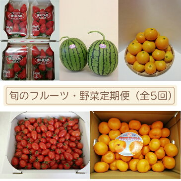 【ふるさと納税】【定期便】旬のフルーツ・野菜定期便(全5回)※北海道・沖縄・離島への配送不可