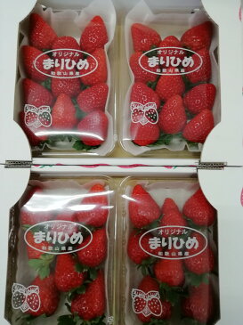 【ふるさと納税】【定期便】旬のフルーツ・野菜定期便(全5回)※北海道・沖縄・離島への配送不可