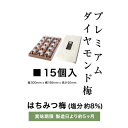 【ふるさと納税】プレミアムダイヤモンド梅 15個入