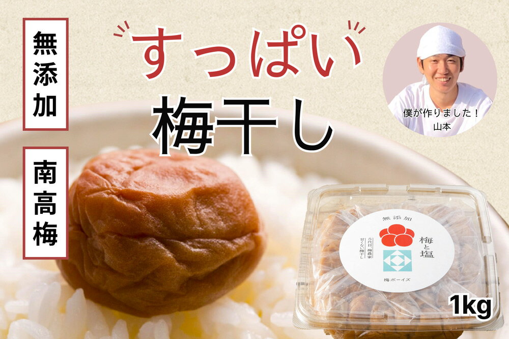 【ふるさと納税】【無添加梅干し】天日塩だけで漬けた梅干し / 南高梅 / 梅ボーイズのサムネイル