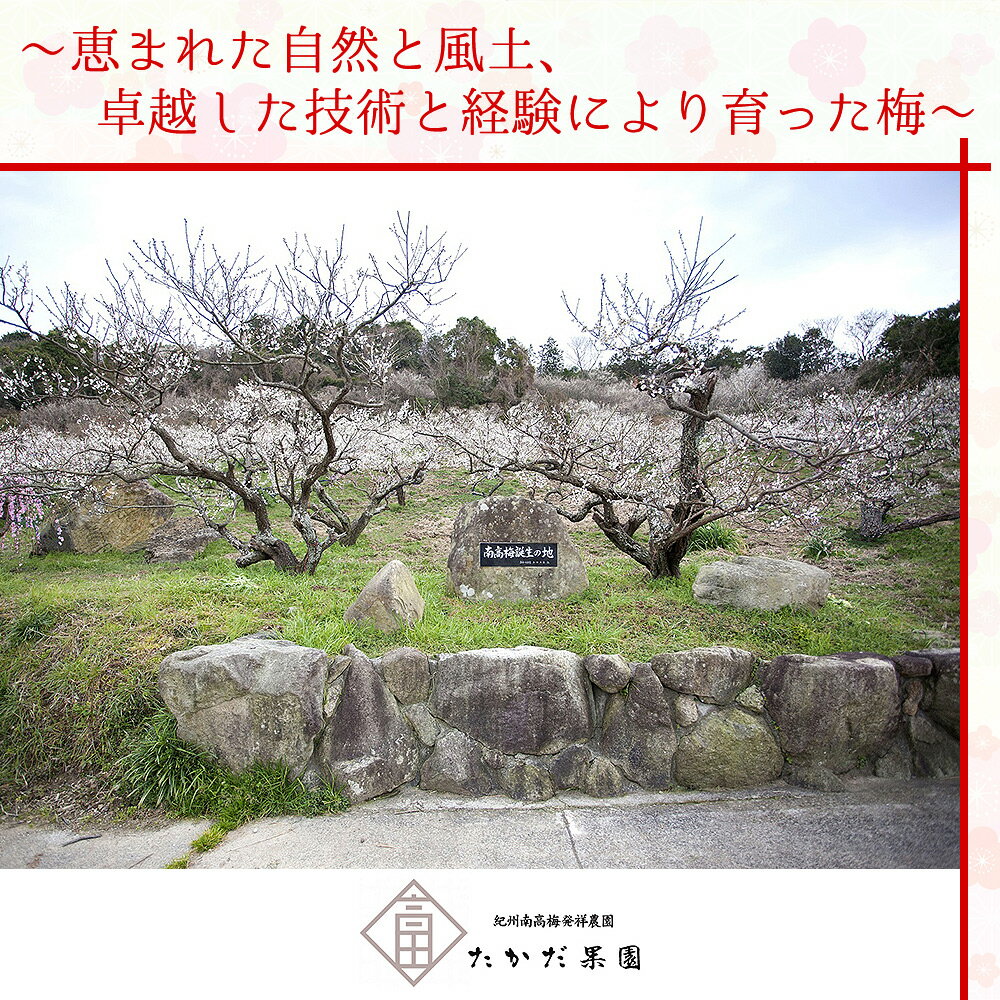 【ふるさと納税】有機JAS認証　高田の梅「昔ながらのしそ梅干」（850g) | 《日本一の梅の産地》 《南高梅発祥農園》 高田果園 有機栽培 紀州 和歌山 みなべ町 高級 梅干 うめ 梅 梅干し