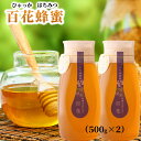 【ふるさと納税】百花蜂蜜 1kg(500g×2) | 蜂蜜 はちみつ 国産 国産はちみつ 和歌山 みなべ町