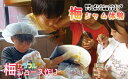 【ふるさと納税】 カラフル梅ジュース&梅ジャムづくり体験チケット | 和歌山 みなべ町 梅 ウメ ギフト 贈答品 贈り物