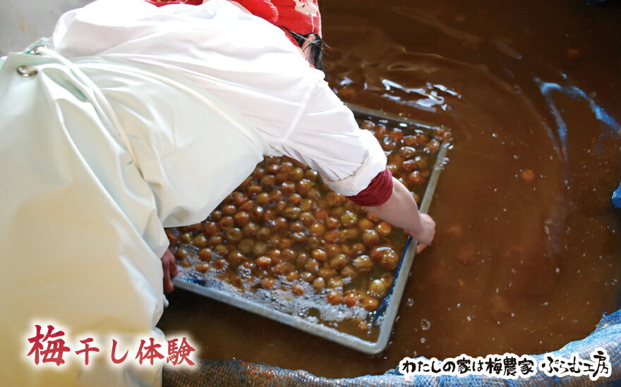 【ふるさと納税】 カフェドマンマ食事券1500円分＆梅干し作業体験チケット | 和歌山 みなべ町 梅 ウメ 梅干し チケット 2