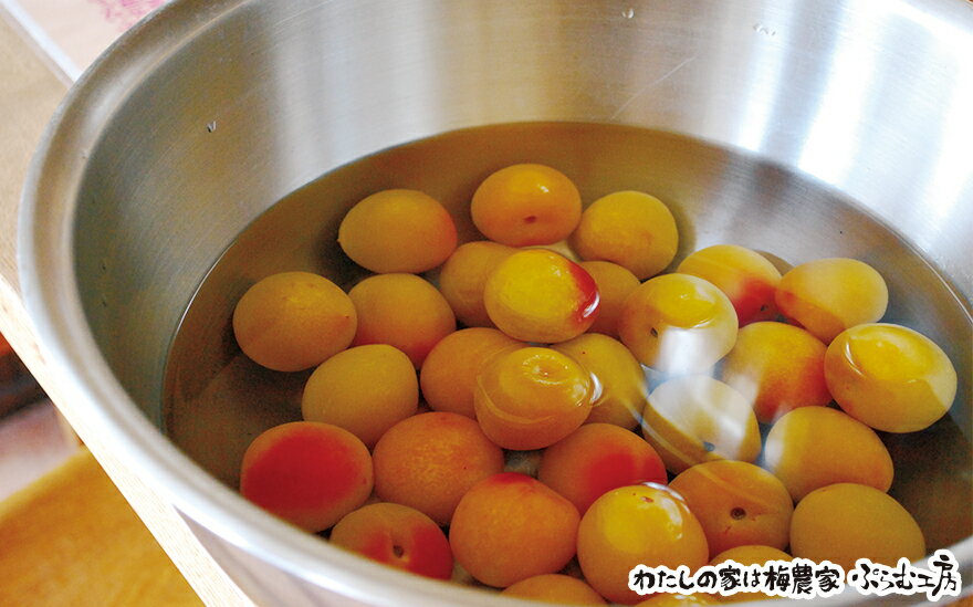 【ふるさと納税】 梅ジャムづくり体験ペアチケット | 和歌山 みなべ町 梅 ウメ ジャム 体験チケット 2