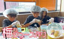 【ふるさと納税】 カラフル梅ジュースづくり体験ペアチケット | 和歌山 みなべ町 梅 ウメ 体験チケット