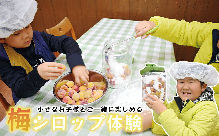 【ふるさと納税】 梅ジュース＆梅ジャムづくり体験チケット | 和歌山 みなべ町 梅 ウメ 体験チケット