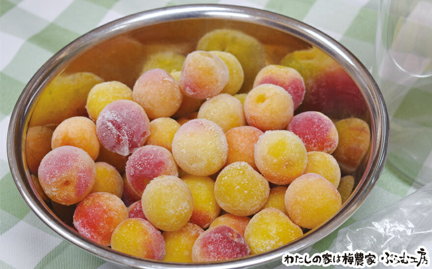 【ふるさと納税】 梅ジュースづくり体験ペアチケット | 和歌山 みなべ町 梅 ウメ 体験チケット 2