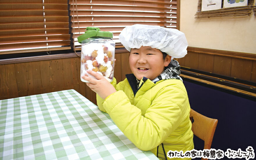 【ふるさと納税】 梅ジュースづくり体験ペアチケット | 和歌山 みなべ町 梅 ウメ 体験チケット 3