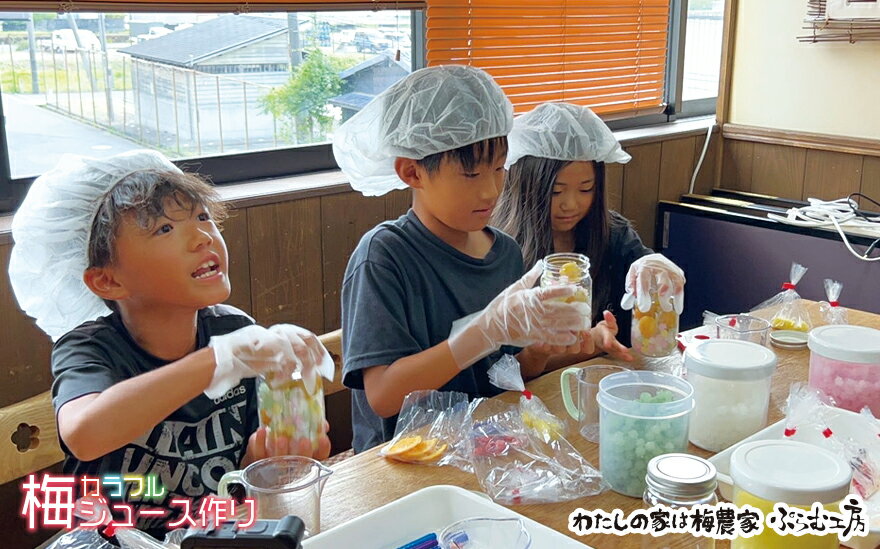 【ふるさと納税】 カフェドマンマ食事券1500円分＆カラフル梅ジュースづくり体験チケット | 和歌山 みなべ町 梅 ウメ 梅ジュース お食事券 レストラン ギフト 贈答品 贈り物 2