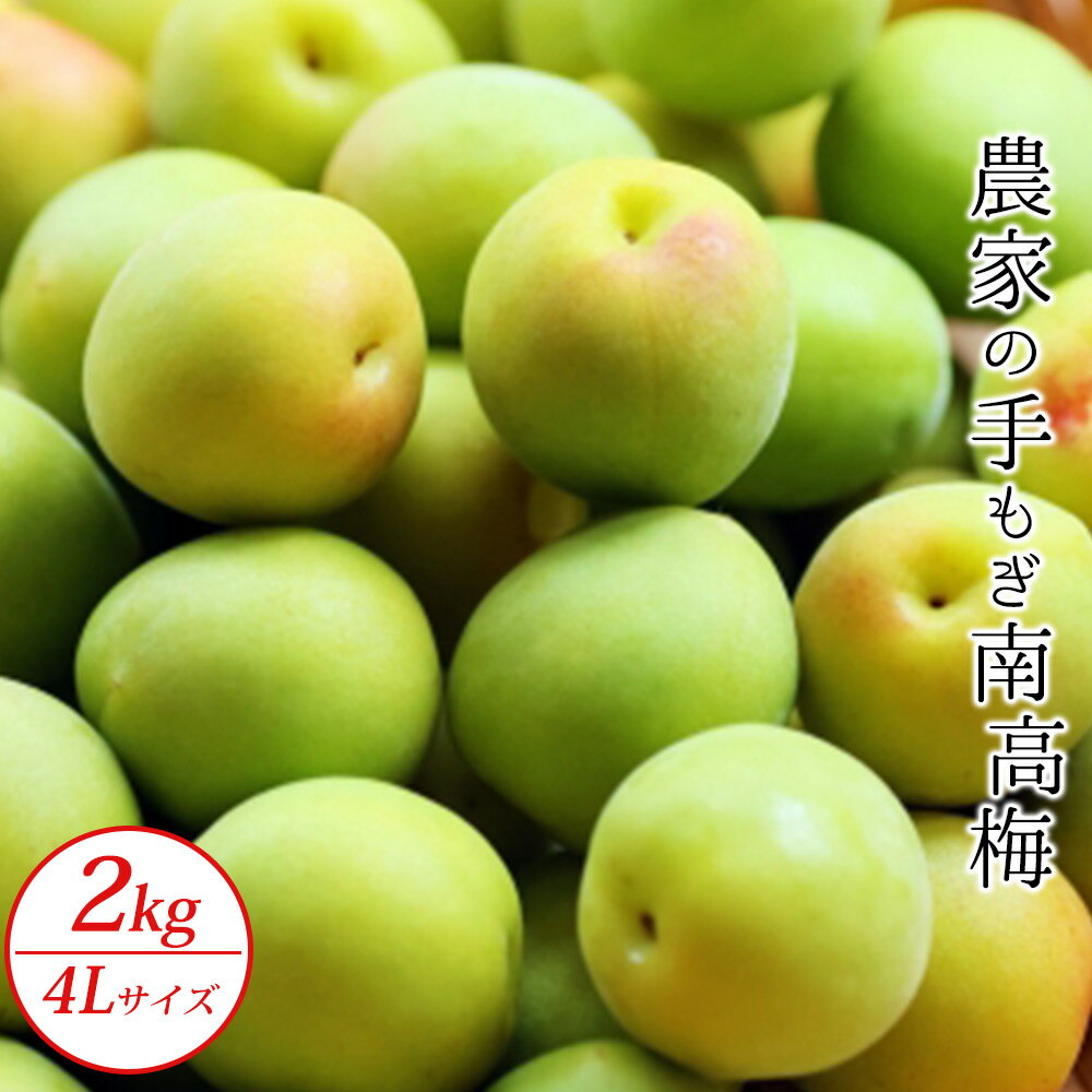 農家の手もぎ南高梅2kg（4Lサイズ）