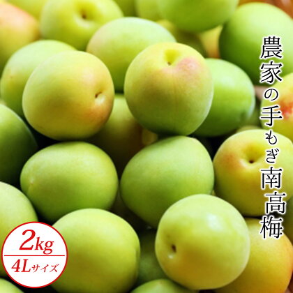 農家の手もぎ南高梅2kg（4Lサイズ）