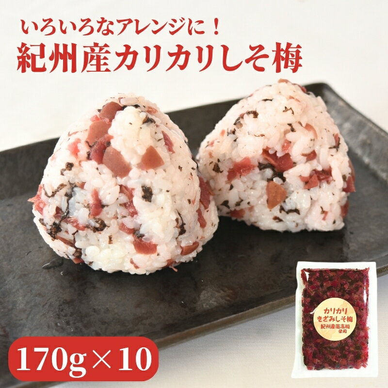 【ふるさと納税】 紀州産カリカリ南高しそ梅　170g×10個 / 梅干し 梅干 しそ漬け梅 しそ梅 うめ セット 小分け おすそ分け ご飯のお供 おかず おにぎり