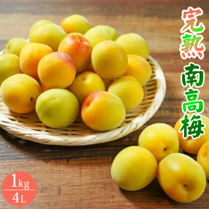 完熟南高梅（生梅）4L　1kg