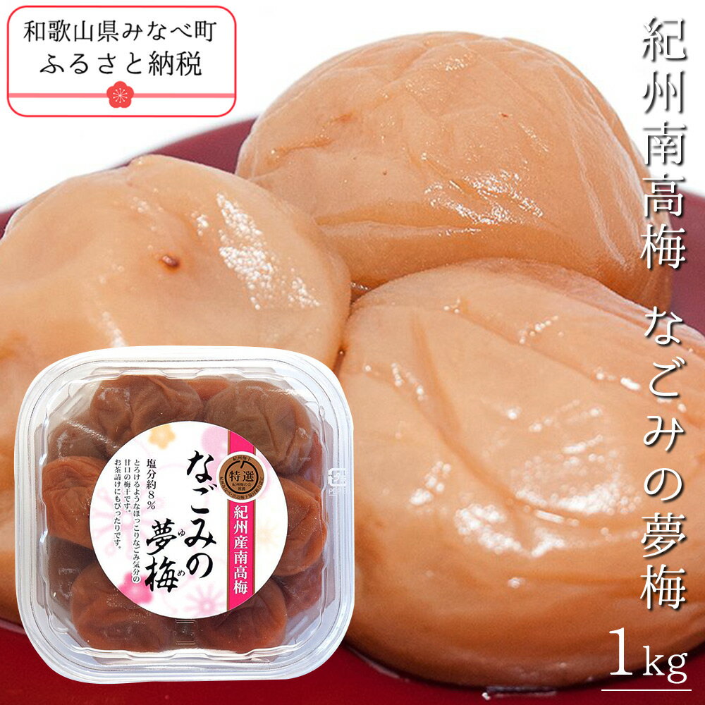 【ふるさと納税】紀州南高梅なごみの夢梅〕 1kg | 《日本