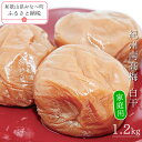 【ふるさと納税】紀州南高梅白干〔家庭用〕 1.2kg | 訳あり 《日本一の梅の産地》 《百年の伝統》 紀州 紀州梅干 和歌山 梅 うめ ウメ 梅干し 梅干 紀...