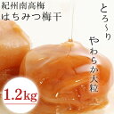 【ふるさと納税】 はちみつ梅干し1.2kg(600g×2パック) 紀州南高梅 和歌山県産 / ご家庭用 家庭用 はちみつ梅 はちみつ漬け 蜂蜜梅 南高梅 大粒 大玉 塩分7% 塩分控えめ 普段使い おにぎり お弁当 小分け