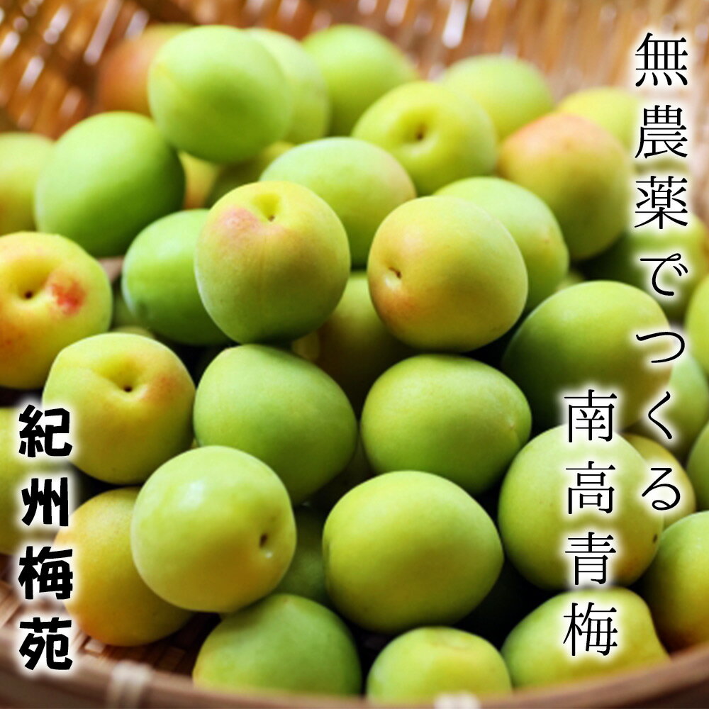 【ふるさと納税】ご縁梅干 10入