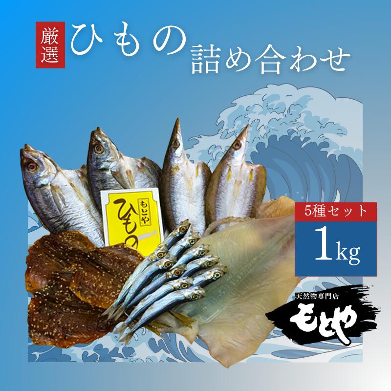 【ふるさと納税】潮彩（ひもの詰合せ）| 詰め合わせ 干物 魚 あじ するめいか いわし かます セット 添加物不使用