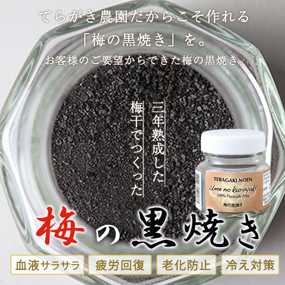 【ふるさと納税】梅の黒焼き 30g｜紀州南高梅使用 天然塩 3年熟成 デトックスサポート 健康補助 食品 梅 ウメ うめ