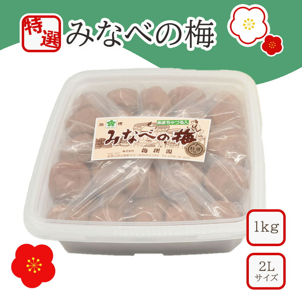 [特選]みなべの梅(あまちゃづる)2L 1kg | 梅干 梅干し うめぼし 紀州 南高梅