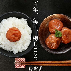 【ふるさと納税】はちみつ梅干し1.4kg 紀州南高梅 和歌山県産[ご家庭用 はちみつ梅]