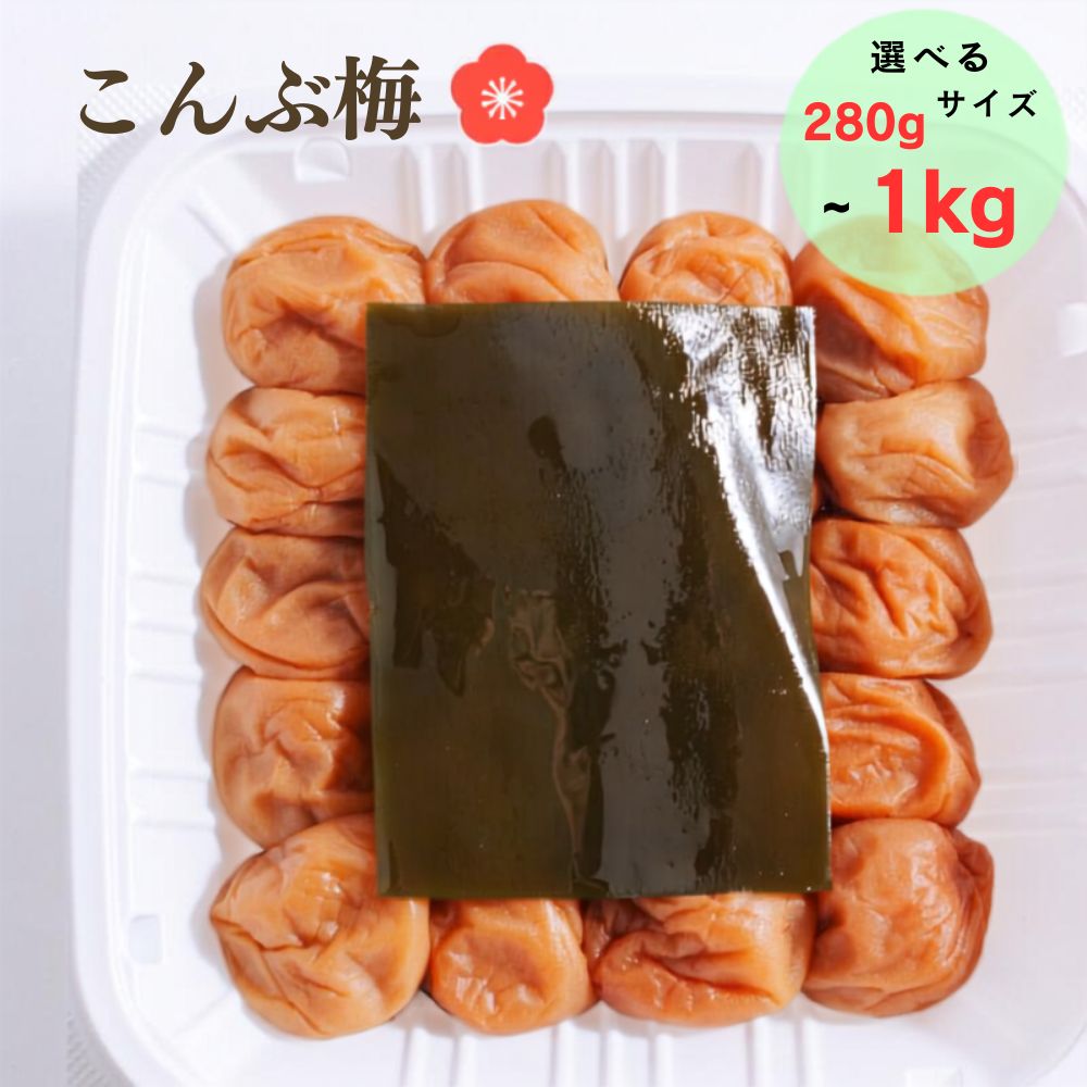 紀州南高梅 こんぶ梅 280g～1kg | 梅干し 梅干 南高梅 梅 うめ ウメ ごはんのお供