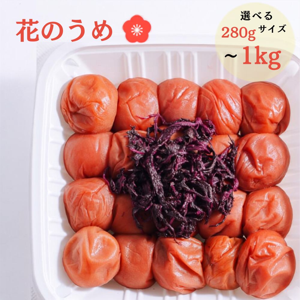 紀州南高梅 花のうめ しそ漬け 280g～1kg | 梅干し 南高梅 ウメ うめ 紫蘇 調味料不使用