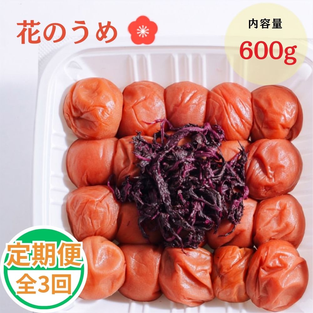 紀州南高梅 花のうめ しそ漬け 600g 定期便 全3回 | 梅干し 梅干 うめぼし 南高梅 ウメ うめ 紫蘇 調味料不使用 定期便 全3回