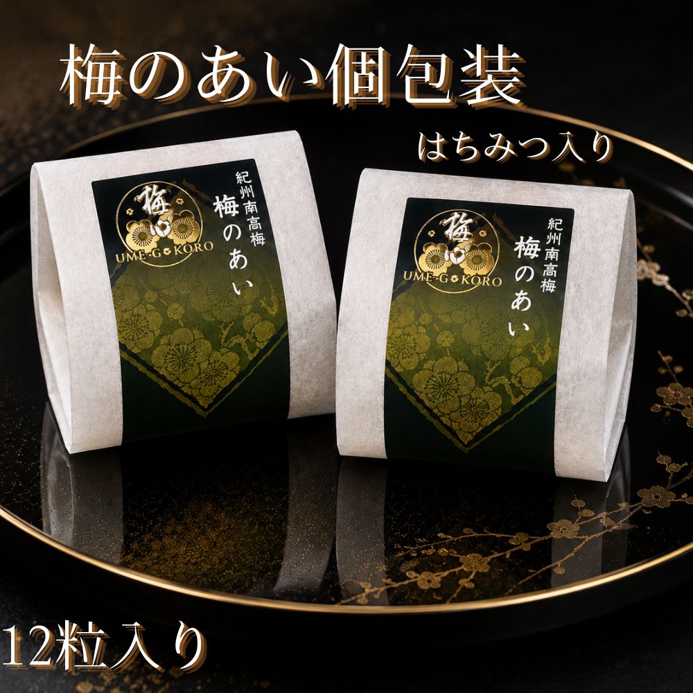 【ふるさと納税】 紀州南高梅使用 梅のあい はちみつ梅 12粒入り 個包装 塩分約8％...