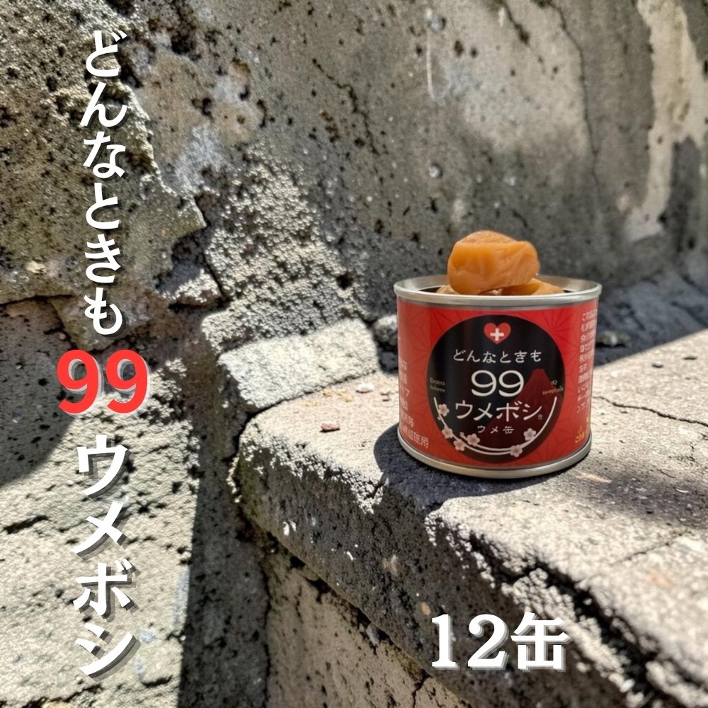  紀州南高梅使用 ウメ缶 どんなときも99梅干し 12缶 塩分約19％ ｜ 和歌山県 みなべ町 梅干し 梅干 うめぼし 救急 緊急 災害 防災 備蓄 非常食 保存食 携帯食 アウトドア 車載用 紀州南高梅 個包装