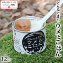 【ふるさと納税】ウメ缶 どんなときもウメとごはん 12缶入り