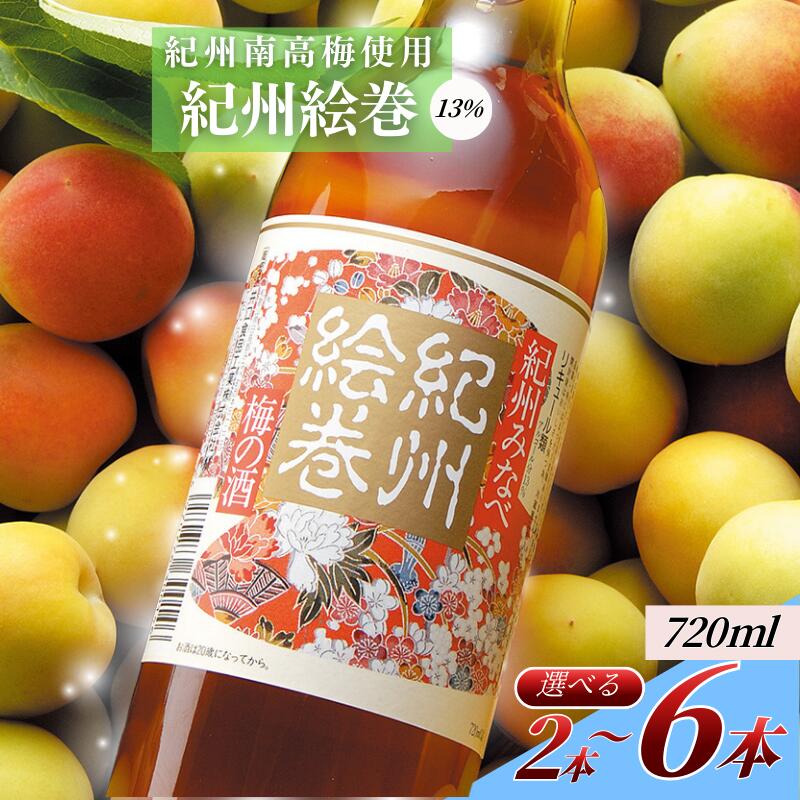 梅酒 720ml 選べる本数 2〜6本 紀州南高梅使用 紀州絵巻 和歌山県産 本格梅酒