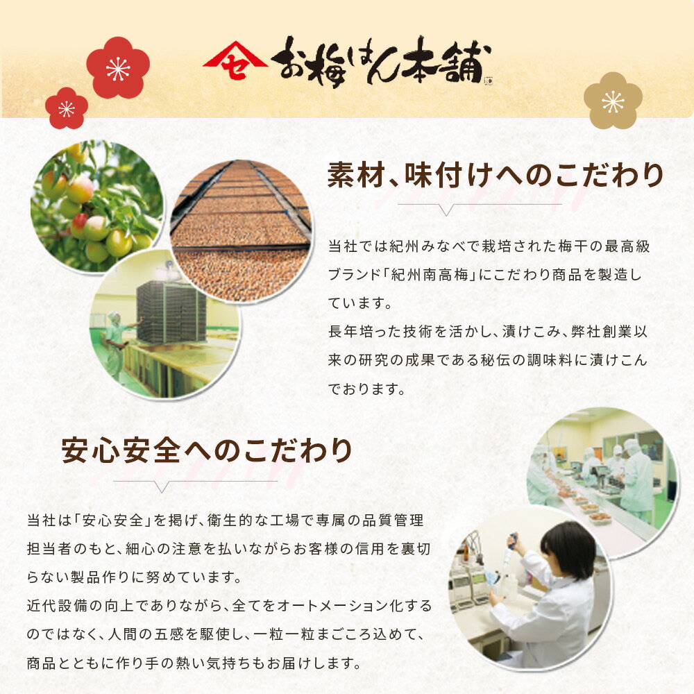 【ふるさと納税】紀州南高梅 うす塩味 家庭用B級 650g |梅干 うめぼし 南高梅 和歌山 うす塩 減塩 塩分控えめ