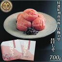 【ふるさと納税】特選 紀州南高梅「白梅の里」昔しそ 700g