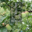和歌山県みなべ町の画像2