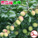 11位! 口コミ数「13件」評価「4.85」青梅(南高梅) 5kg