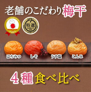 【ふるさと納税】 特選A級 紀州南高梅 味わい4種バランスセット800g 千年の知恵 / はちみつ梅 はちみつ漬け しそ梅 紫蘇梅 しそ漬け うす塩梅 こんぶ梅 こんぶ漬け 昆布梅 梅干し うめぼし 食べ比べ 小分け 贈答用 贈り物 ギフト プレゼント 和歌山県産