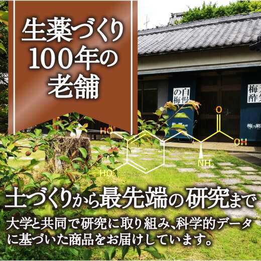 【ふるさと納税】八升豆（国産ムクナ豆）粉末 300g×1袋【老舗生薬屋の無添加ムクナ豆】| 豆 八升豆 ムクナ豆 むくな豆 粉末 パウダー はたらく八升豆