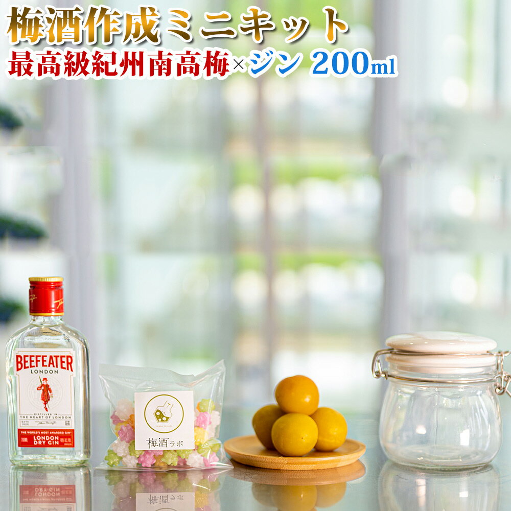 29位! 口コミ数「0件」評価「0」梅酒作成ミニキット（ジンベース） 200ml | 最高級紀州南高梅 南高梅 和歌山 紀州 ジン ジン梅酒 クラフト梅酒 梅 うめ