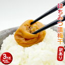 【ふるさと納税】訳あり 蜜宝梅 3kg ( 500g × 6 )(4)