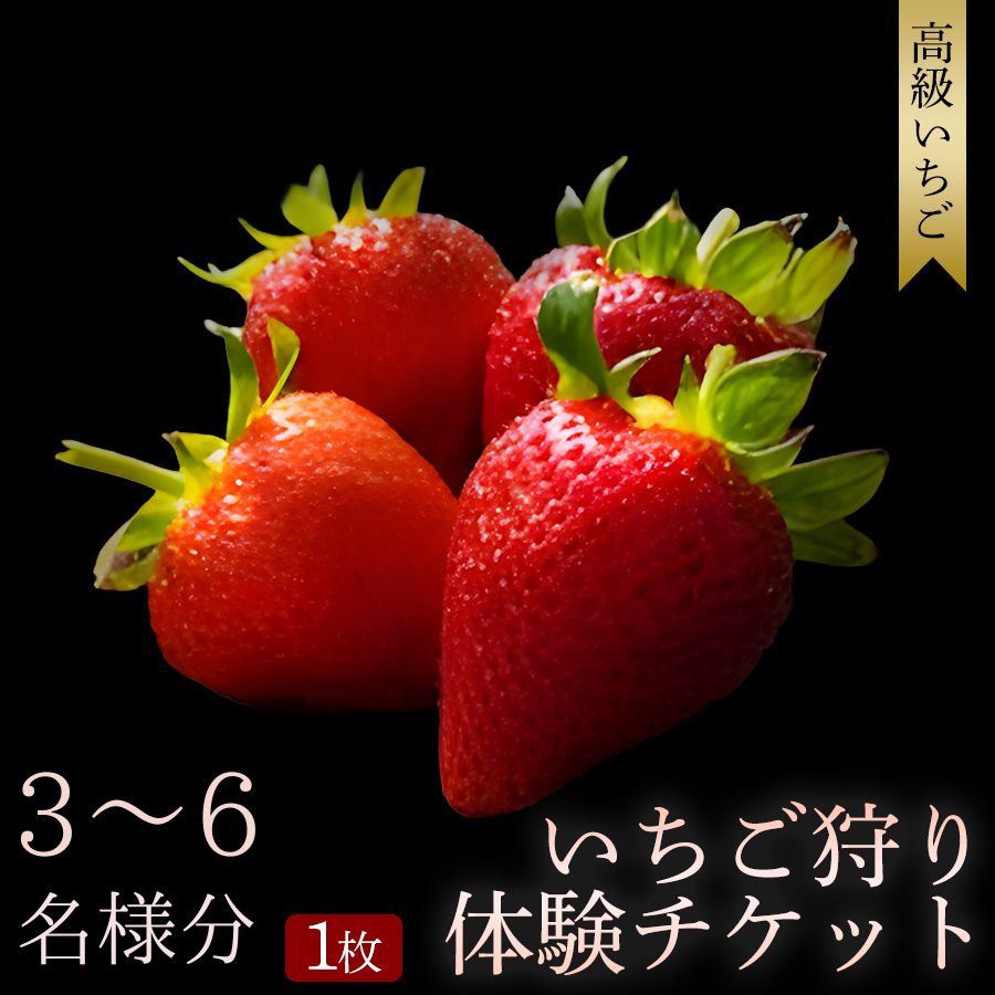 [開催時期 2027年1月1日〜2027年5月7日]オリジナルいちごと人気ブランドいちごの食べ比べ いちご狩り体験チケット ( 3〜6名様分) | いちご狩り 苺狩り いちご狩りチケット 体験チケット 農園 レジャー おでかけ 観光 食べ放題 贅沢 和歌山県 みなべ町